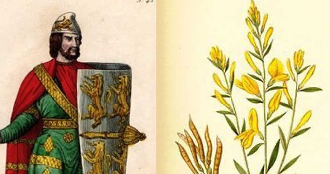 Before the War of the Roses: The Three Hundred Years of Scripture Written by the Plantagenet Dynasty